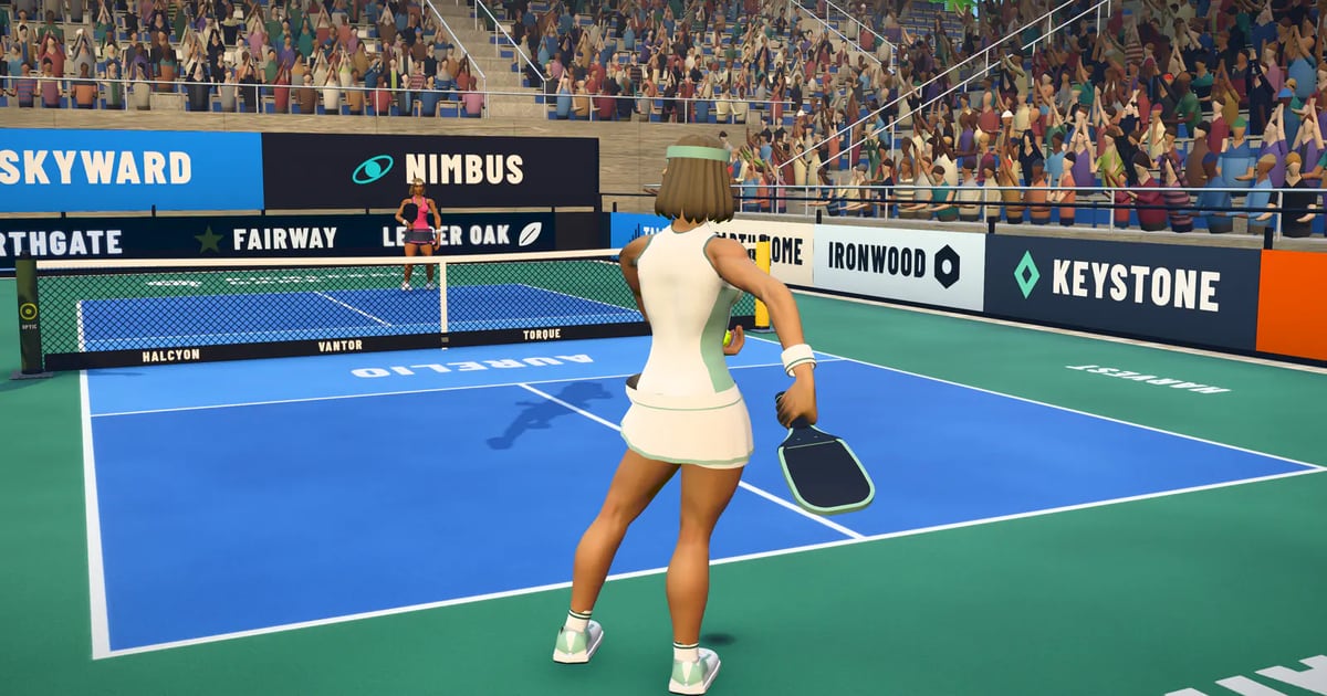The Pickleball Game 3D stadium: a player in white stands ready to serve on a blue court, with the opponent across the net and a full crowd behind
